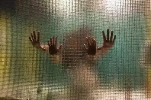 /nvxing/688303